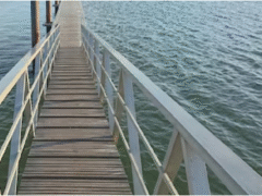 Floating Docks